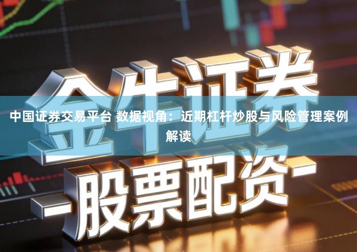 中国证券交易平台 数据视角：近期杠杆炒股与风险管理案例解读