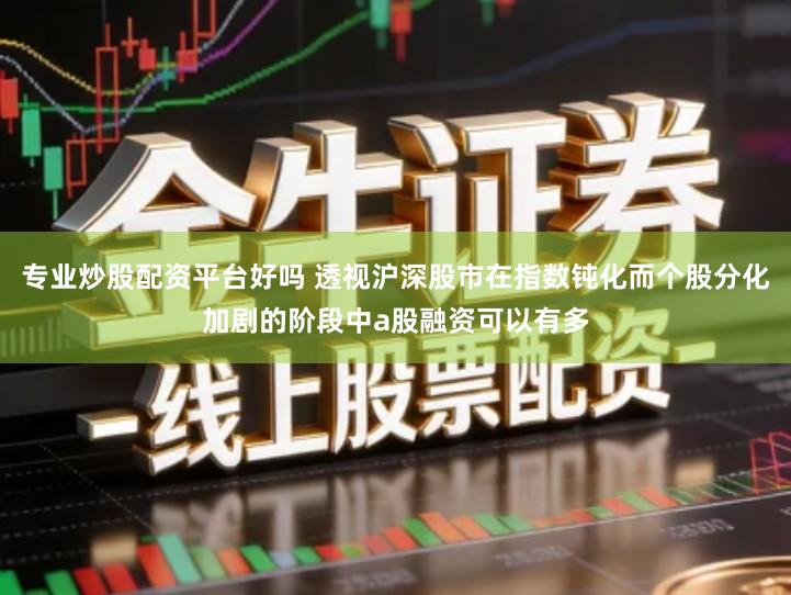 专业炒股配资平台好吗 透视沪深股市在指数钝化而个股分化加剧的阶段中a股融资可以有多