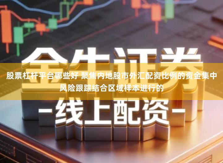 股票杠杆平台哪些好 聚焦内地股市外汇配资比例的资金集中风险跟踪结合区域样本进行的